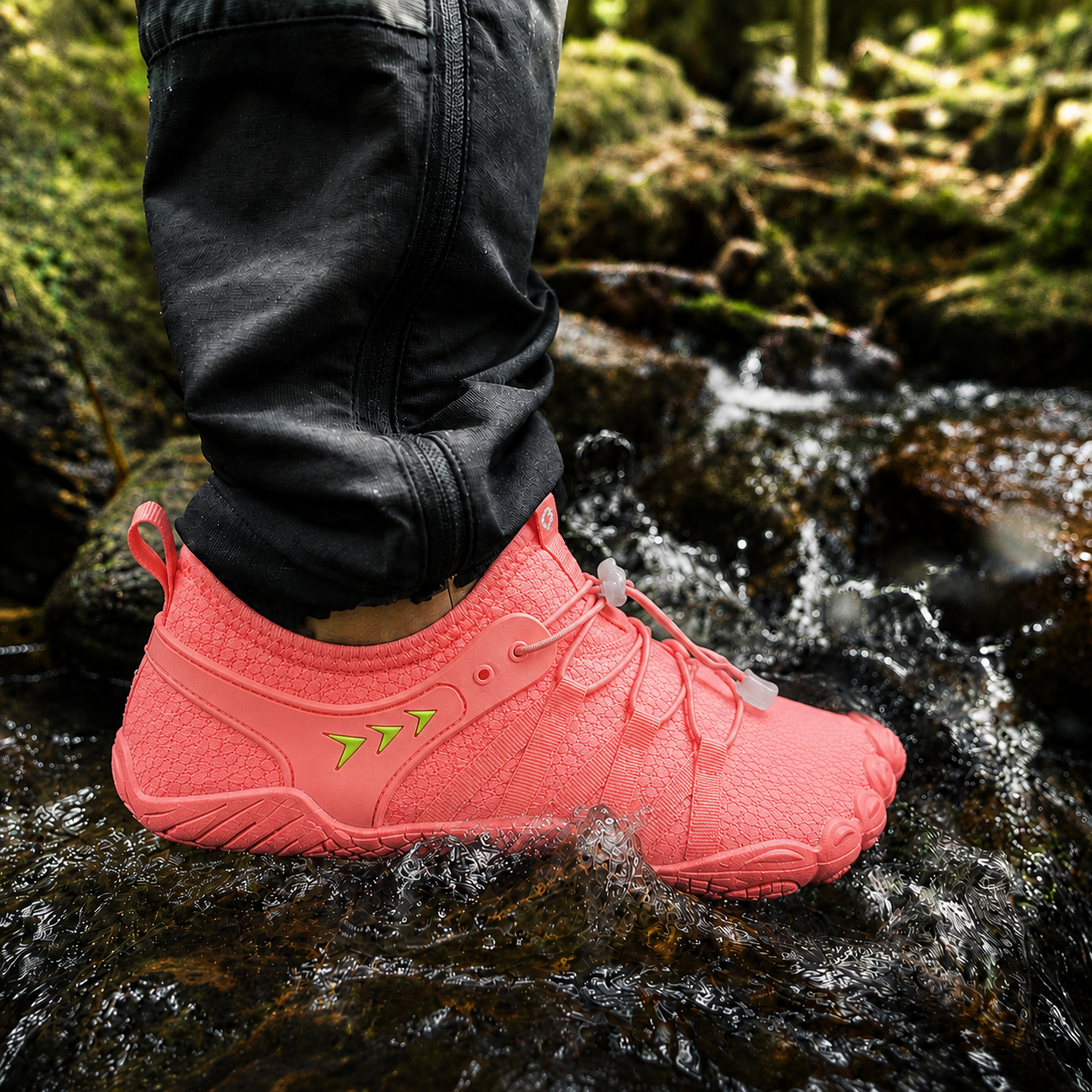 Salmon
