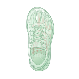 Wide Toe Box